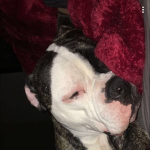 Meet your Posher, Briana